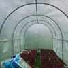 3x2x2m Polytunnel Pro, Galvanised With Door Photo