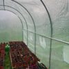 3x2x2m Polytunnel Pro, Galvanised With Door Photo