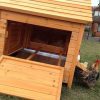Large Chicken Coop – 9-12 Birds - Natural Wood - Pre Order